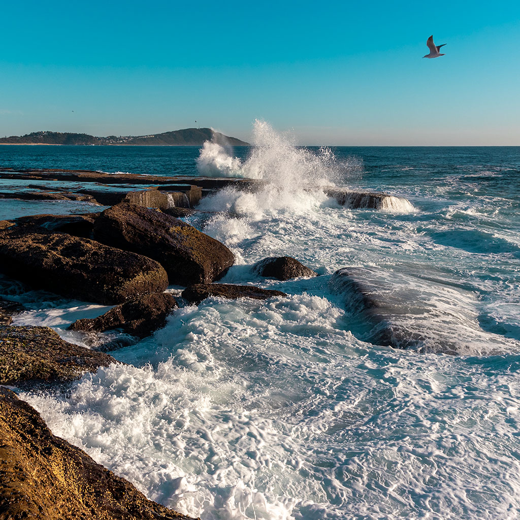 TerrigalHaven03_1024x1024
